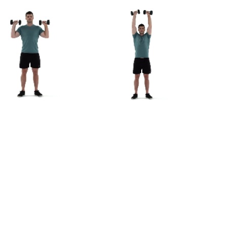 Shoulder press oefening - Fysio Verbeek